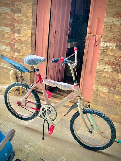 best cycle sorab chumta  picco body bhari cycle hae