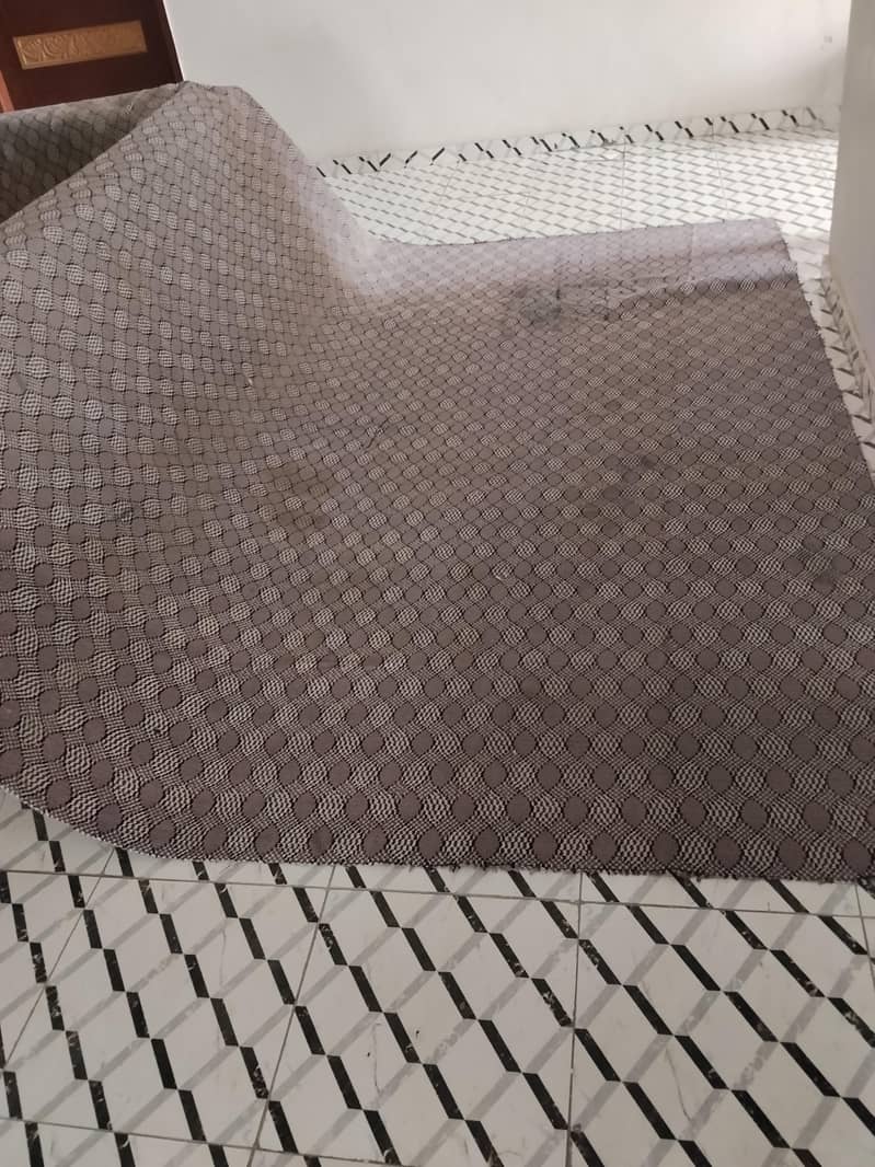 Carpet 0