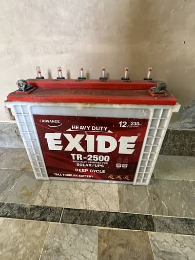Exide tabular battery