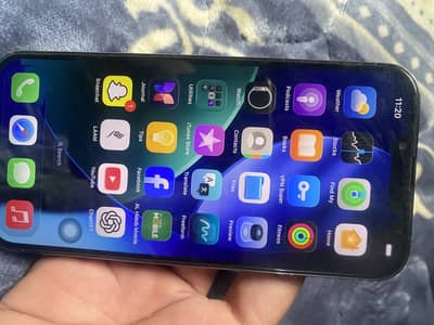 Apple iPhone 13 Pro Max