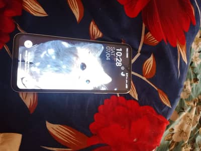 cygnel 4lite