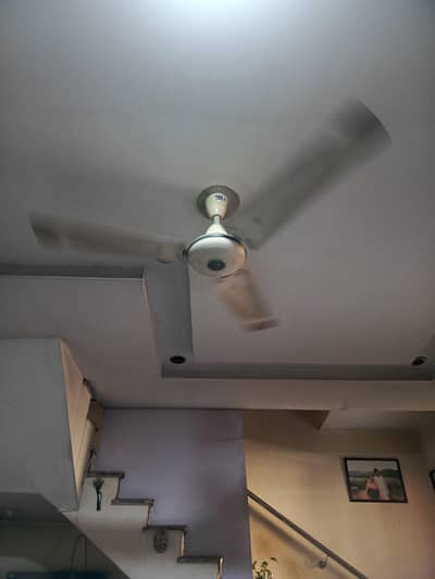 2 Pak Fan for sale