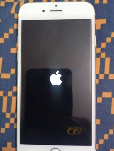 iPhone 6