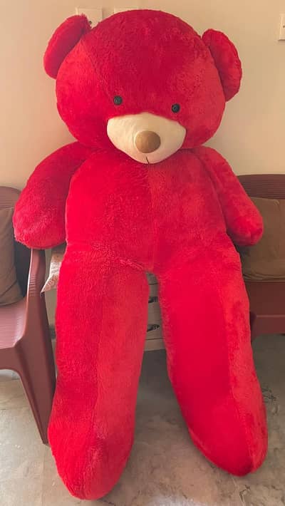 Large Size Teddy Bear