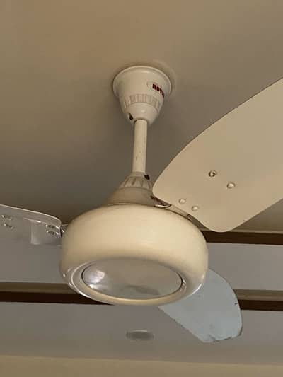 Royal fans 2 fan available new condition