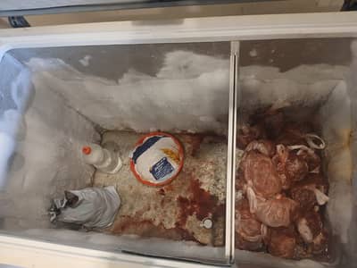 Dawlance Deep Freezer DF-400P – Excellent Working Condition