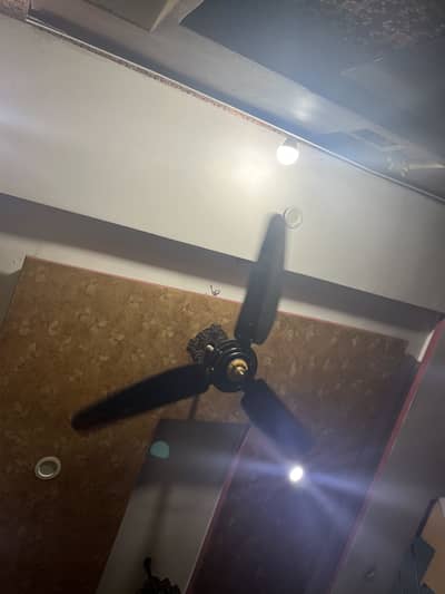 2 GFS Fans Copper