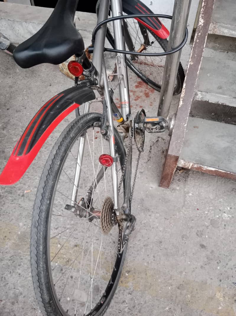 Cycle 4