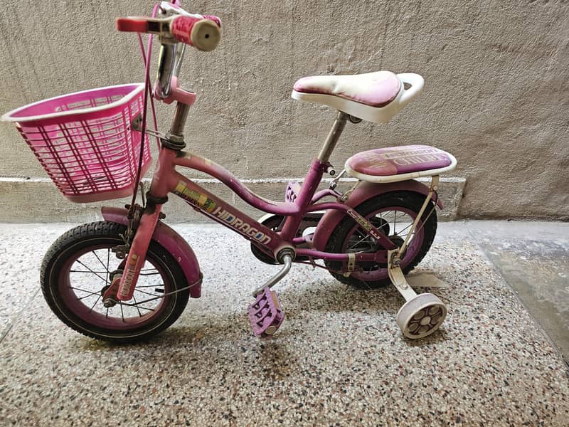 bicycle 2