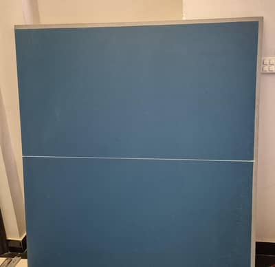 Table Tennis Table