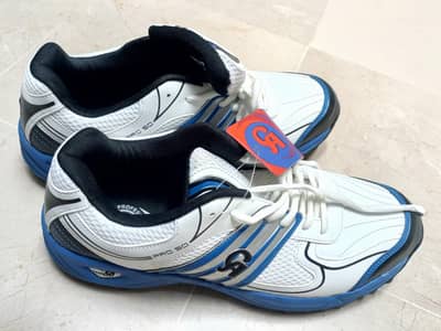 CA cricket shoes