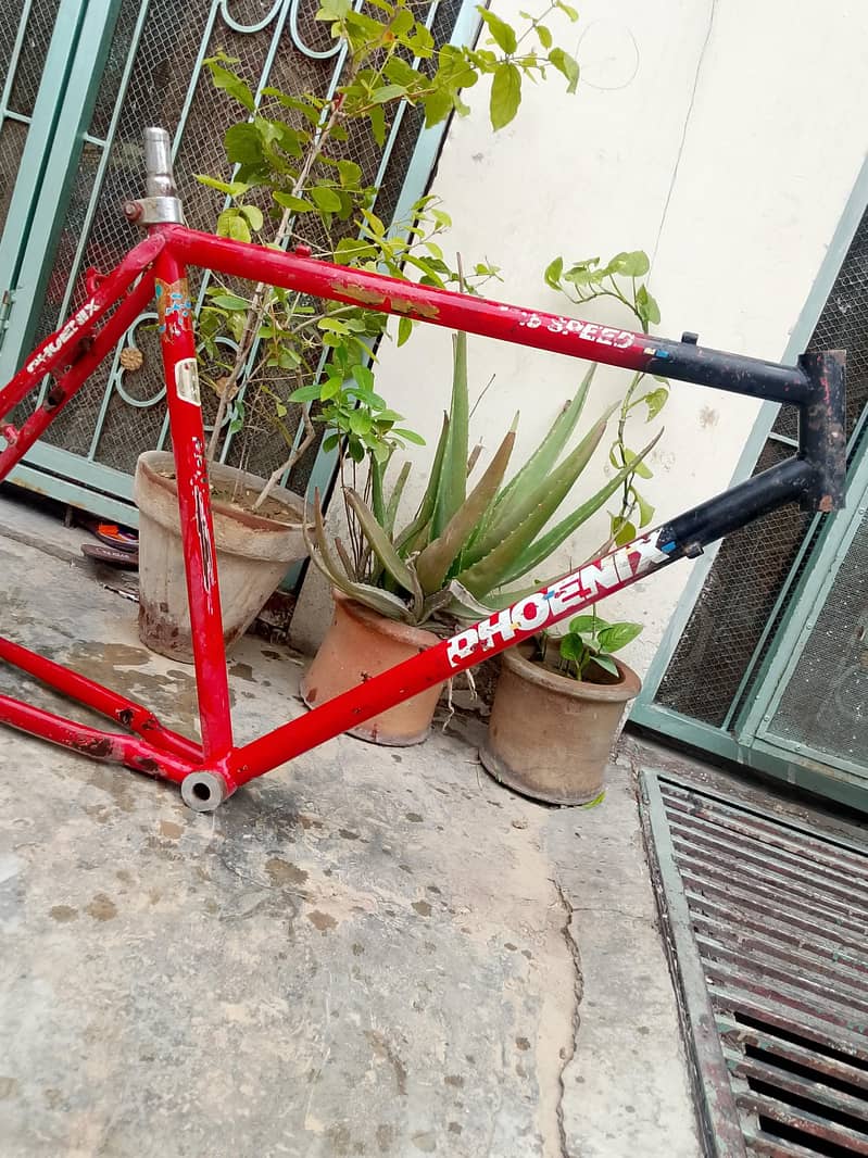 only Cycle farme 1