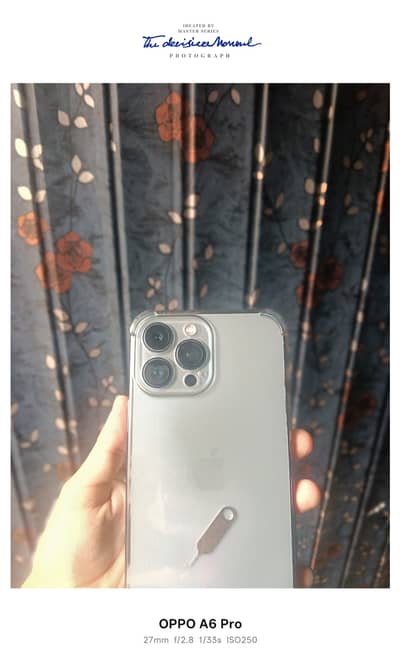 Apple iPhone 13 Pro Max