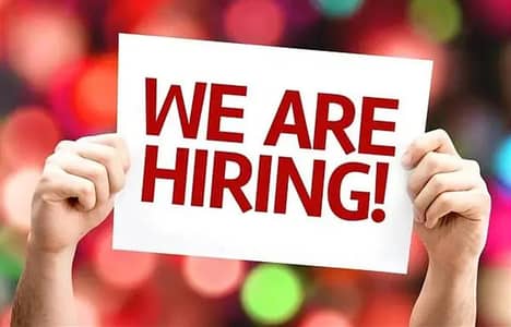 Girl Need For Online Jobs