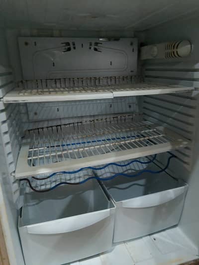 pel company fridge good condition