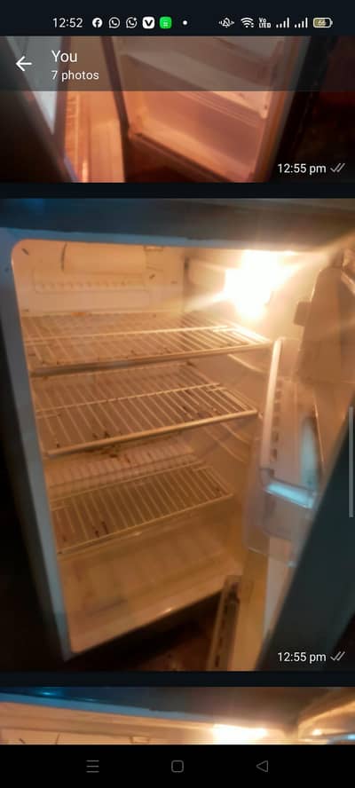 pel fridge