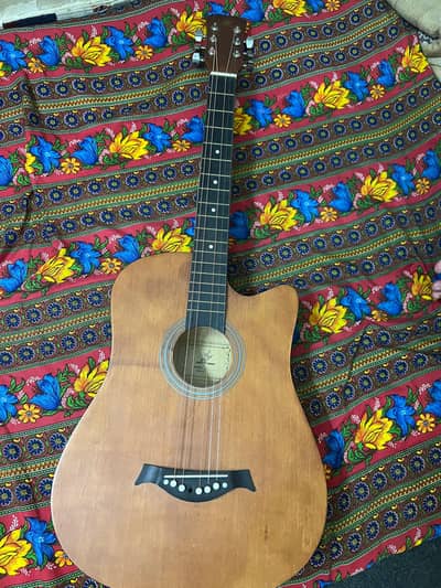 beginners guitar