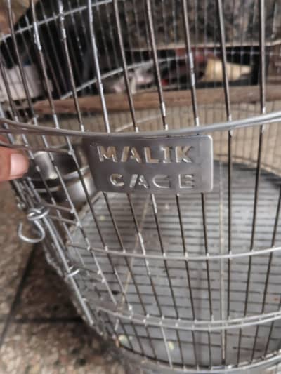 Parrot Cage