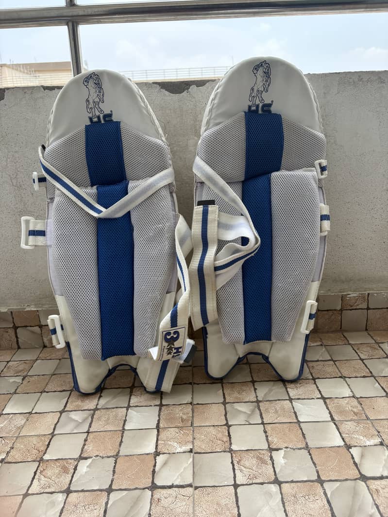 complete cricket kit 6
