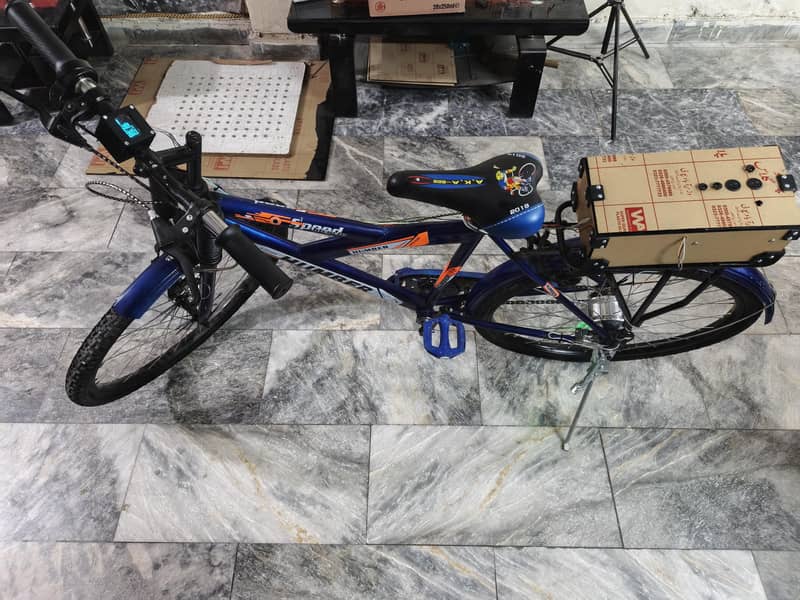 EV Bicycle 1