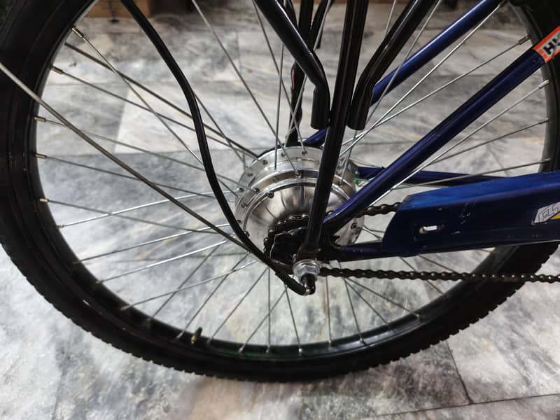EV Bicycle 4