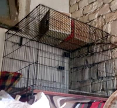 03175252384 2 cages