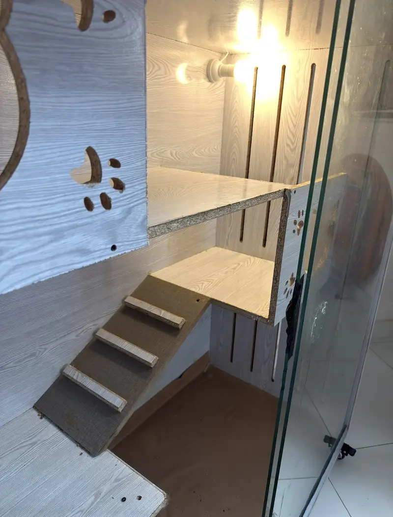 Cat house — photo 2