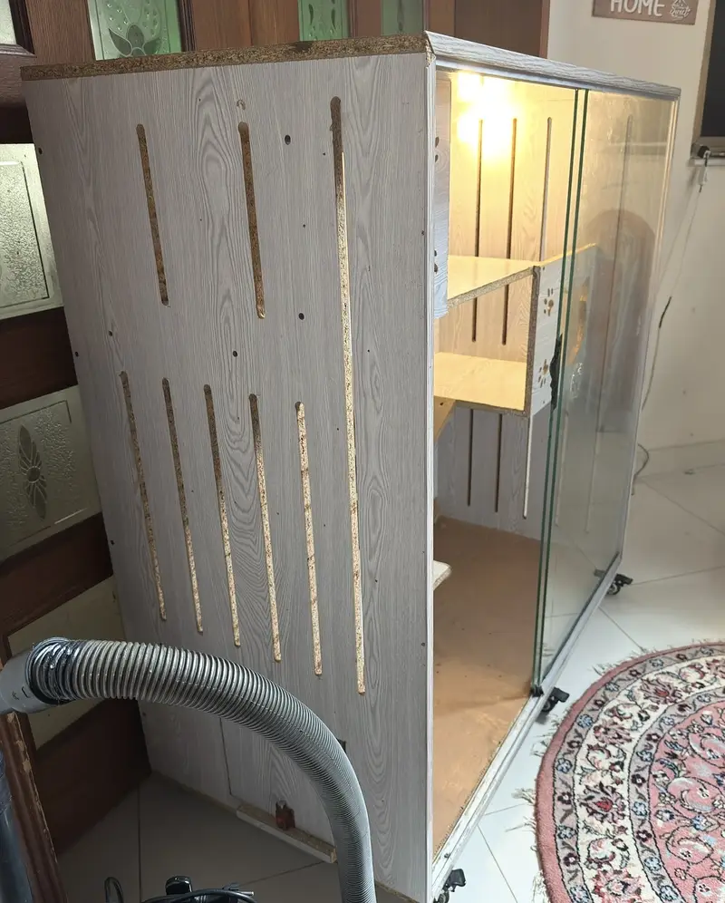 Cat house — photo 4
