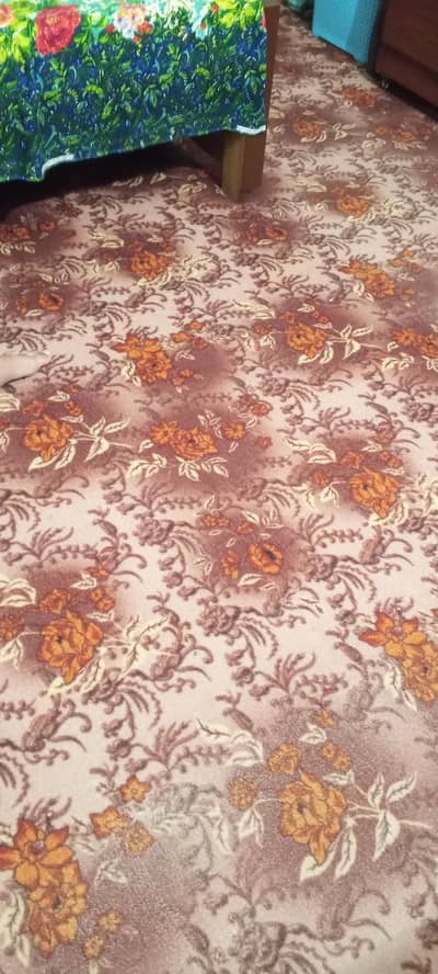 Brown carpet