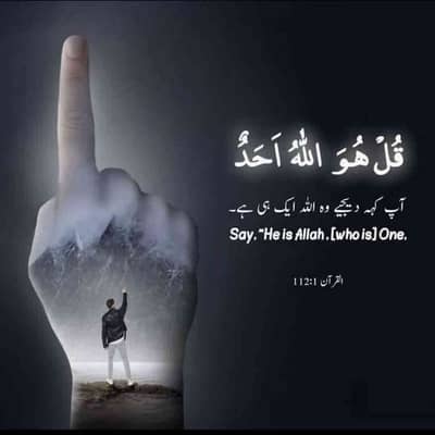 Haseeb khan
