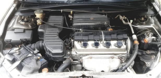 Honda Civic Prosmetic 2005