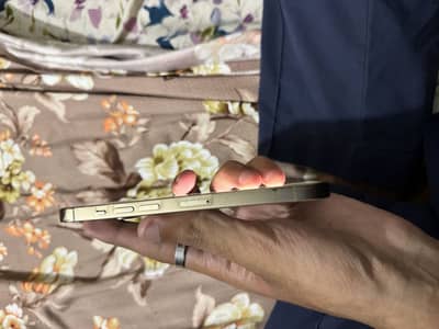 Apple iPhone 13 Pro