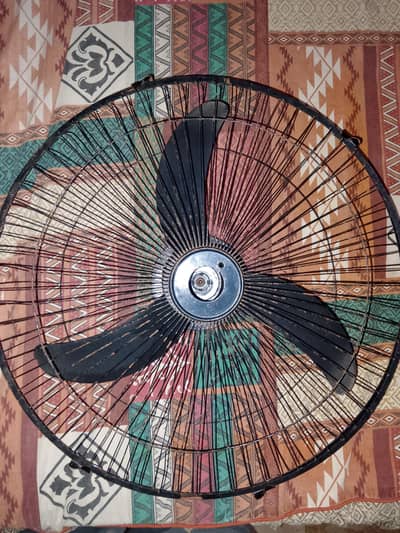 Fan Fan