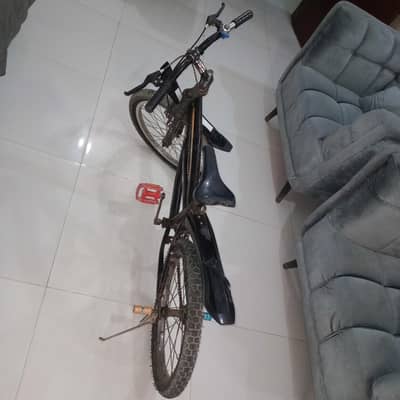 cycle for sale