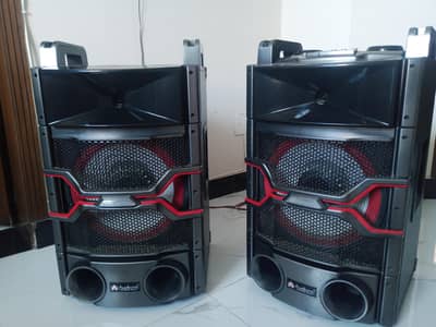 Dj 300 In 100% sctrechless Condition.