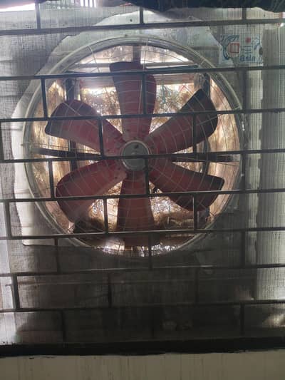 air cooler super Asia copper motor