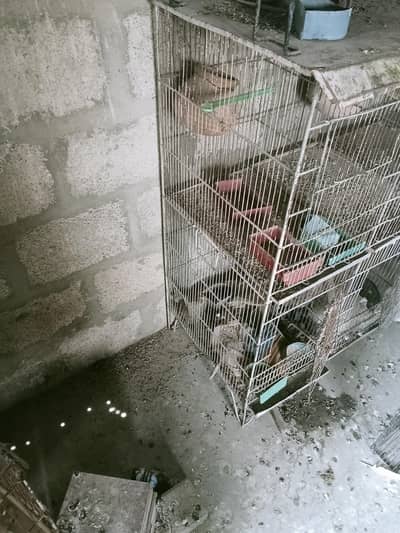 cages pot box pahtki