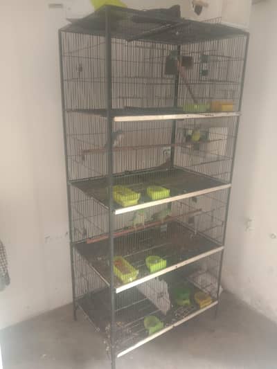 8 portion full havy strong cage Wazi moti wire ka Wtp 03241858868