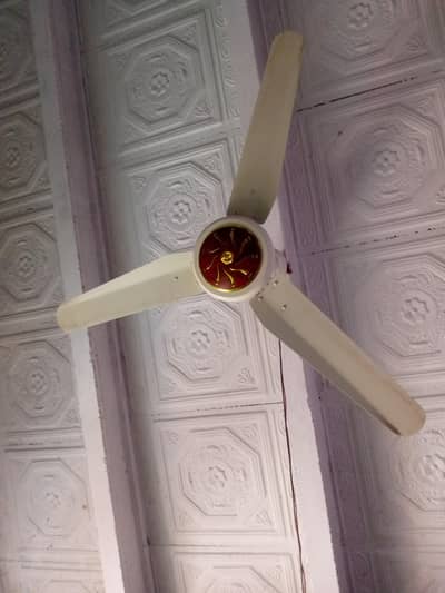 Ac DC fan