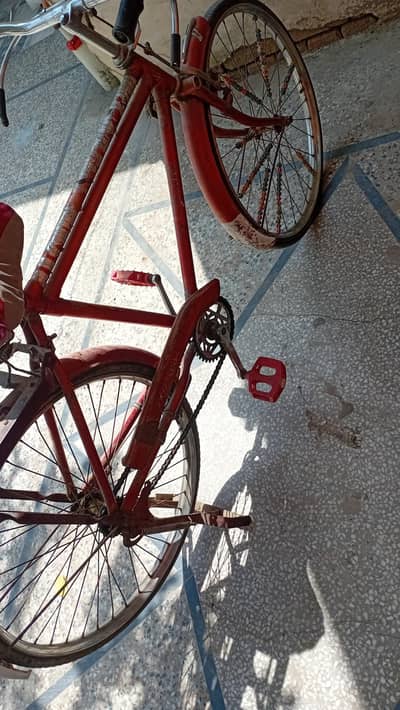 cycle