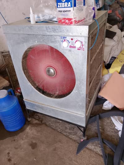 3 month use with tayer stand condition 10/10. . . 03100864856