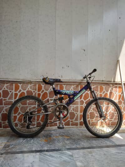 Gear cycle