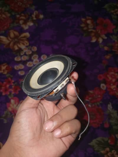 speaker ka parda