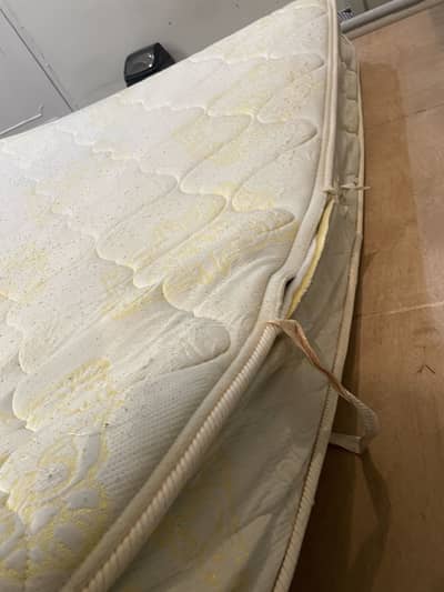 Spring Air Molty foam Mattress