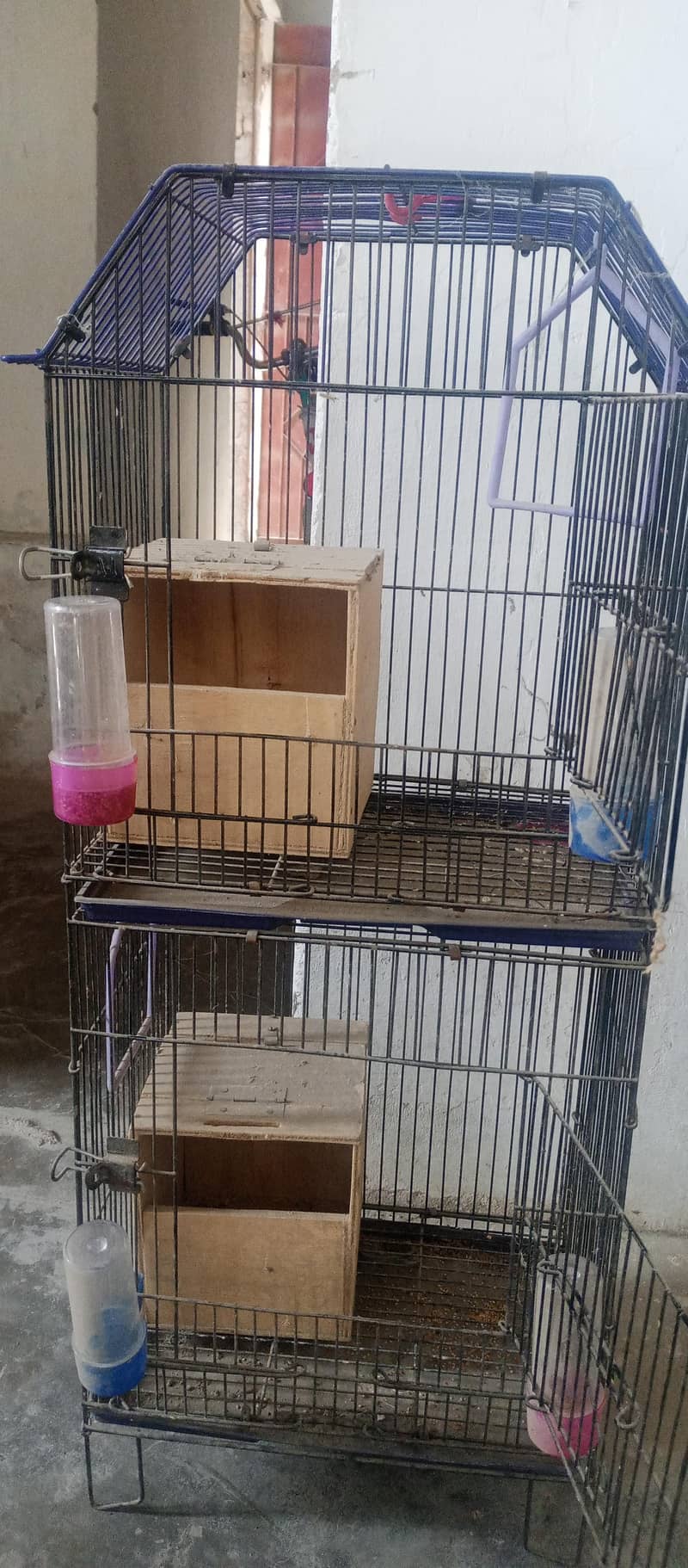 cages 1