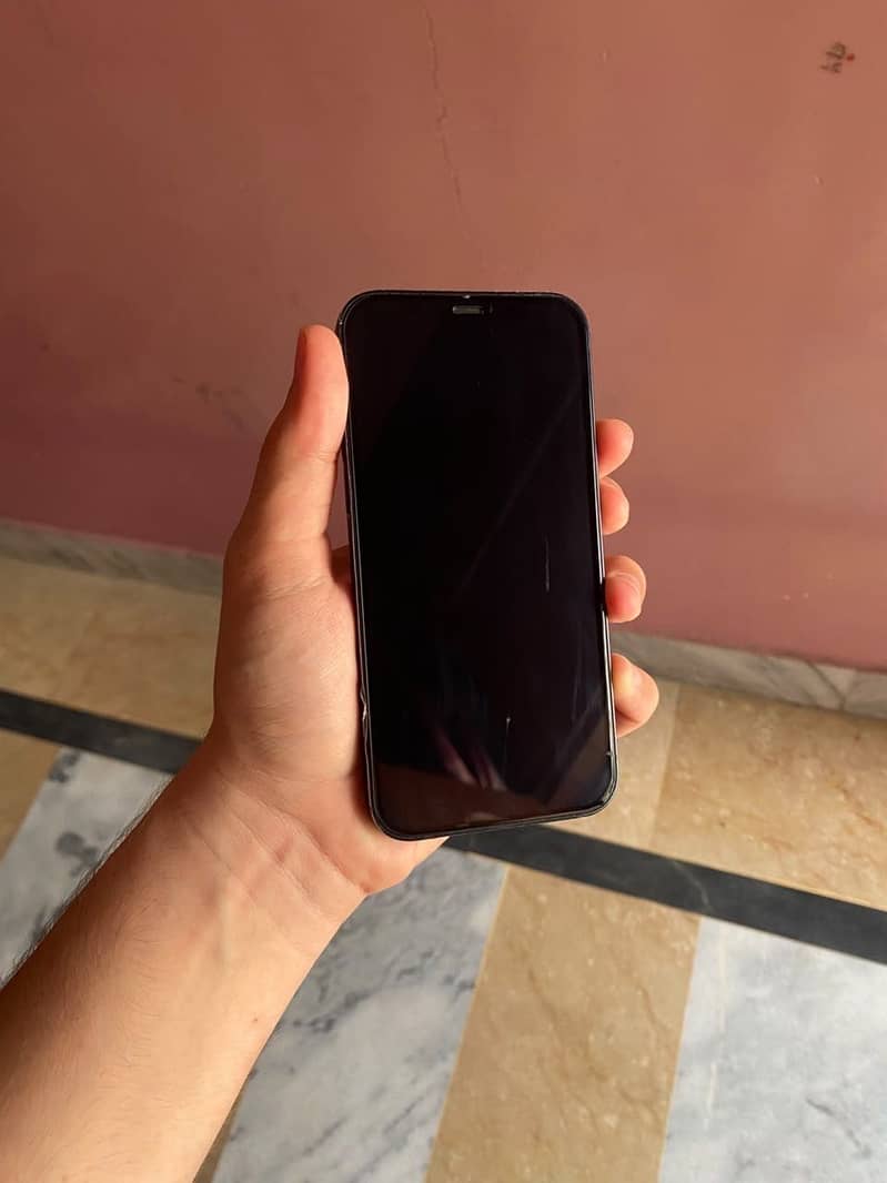 Apple iPhone 12 1