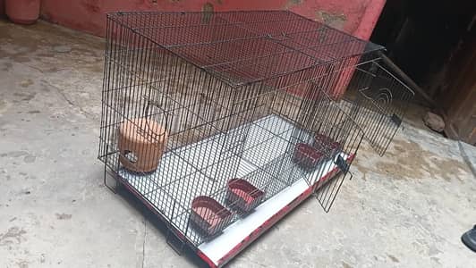 Bird Cage