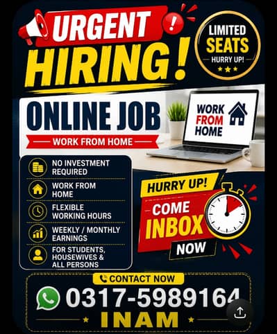 I need a some person for online work without any investment