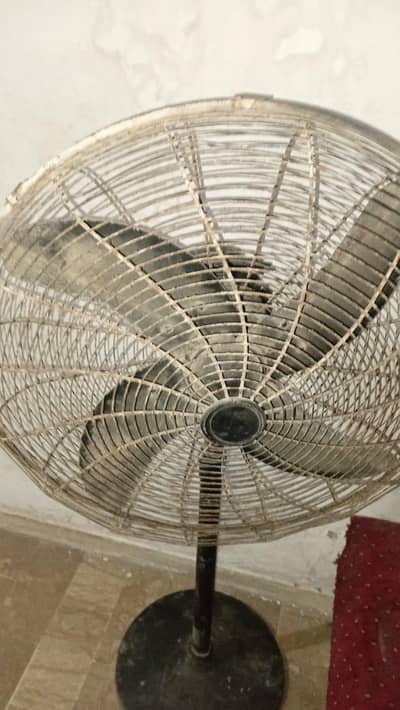 pedestal fan for sale
