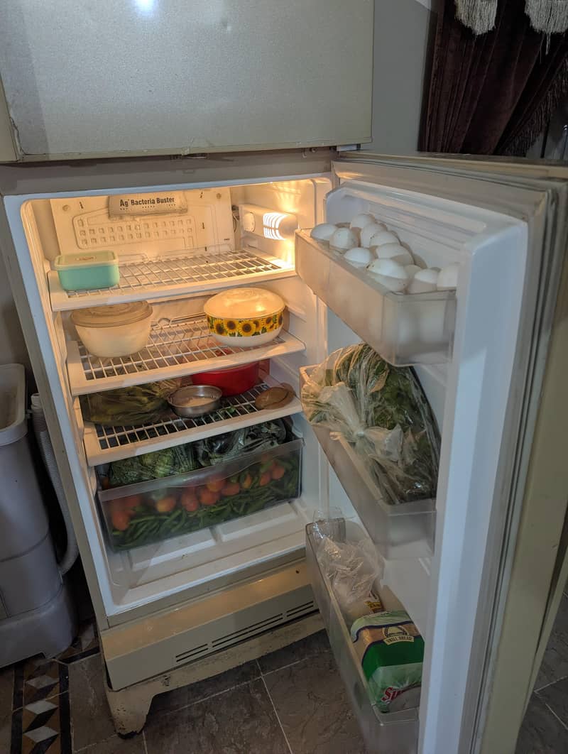 Pell fridge 2